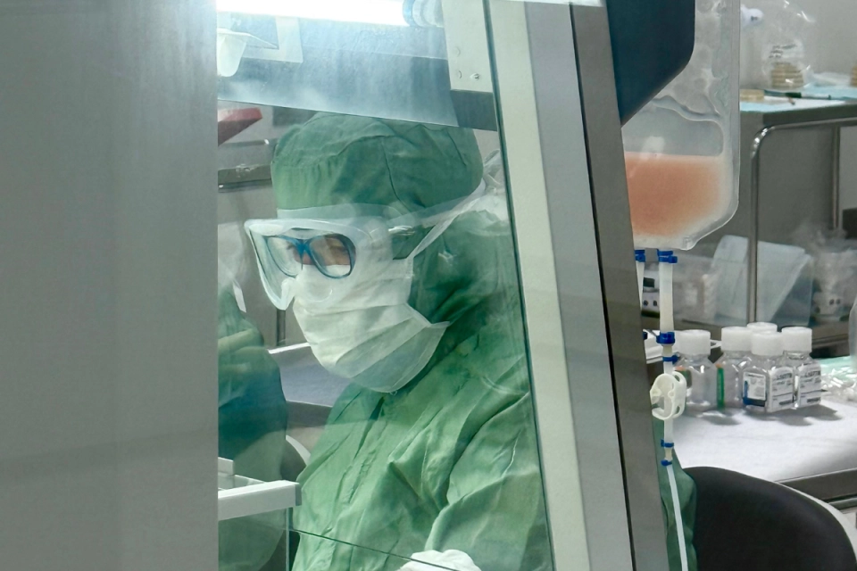 GMP Production Mendus