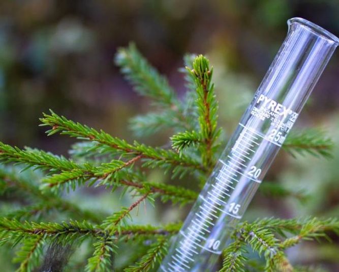 Lab equipment in forest.