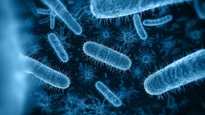 E.coli picture. Blue gradient.